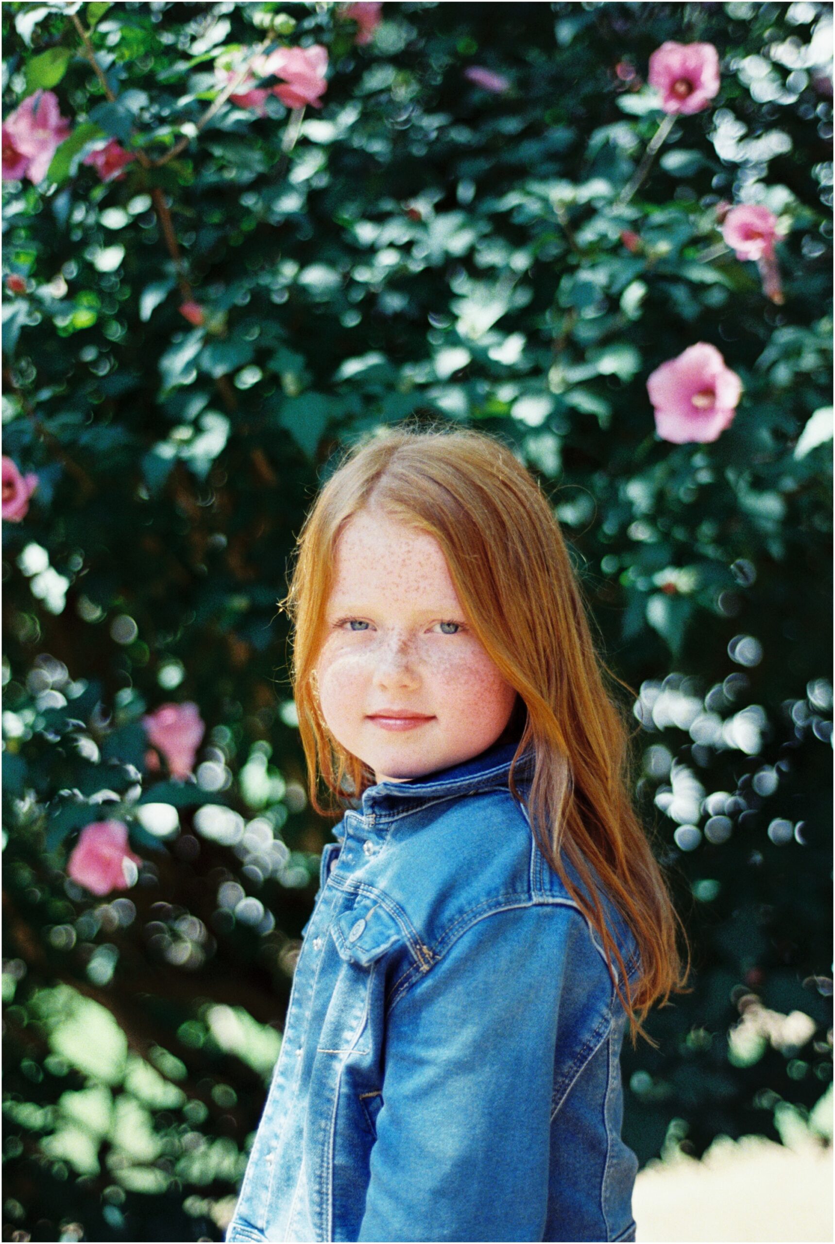 Portrait of a young red headed girl in front of a blooming bush shot on film.