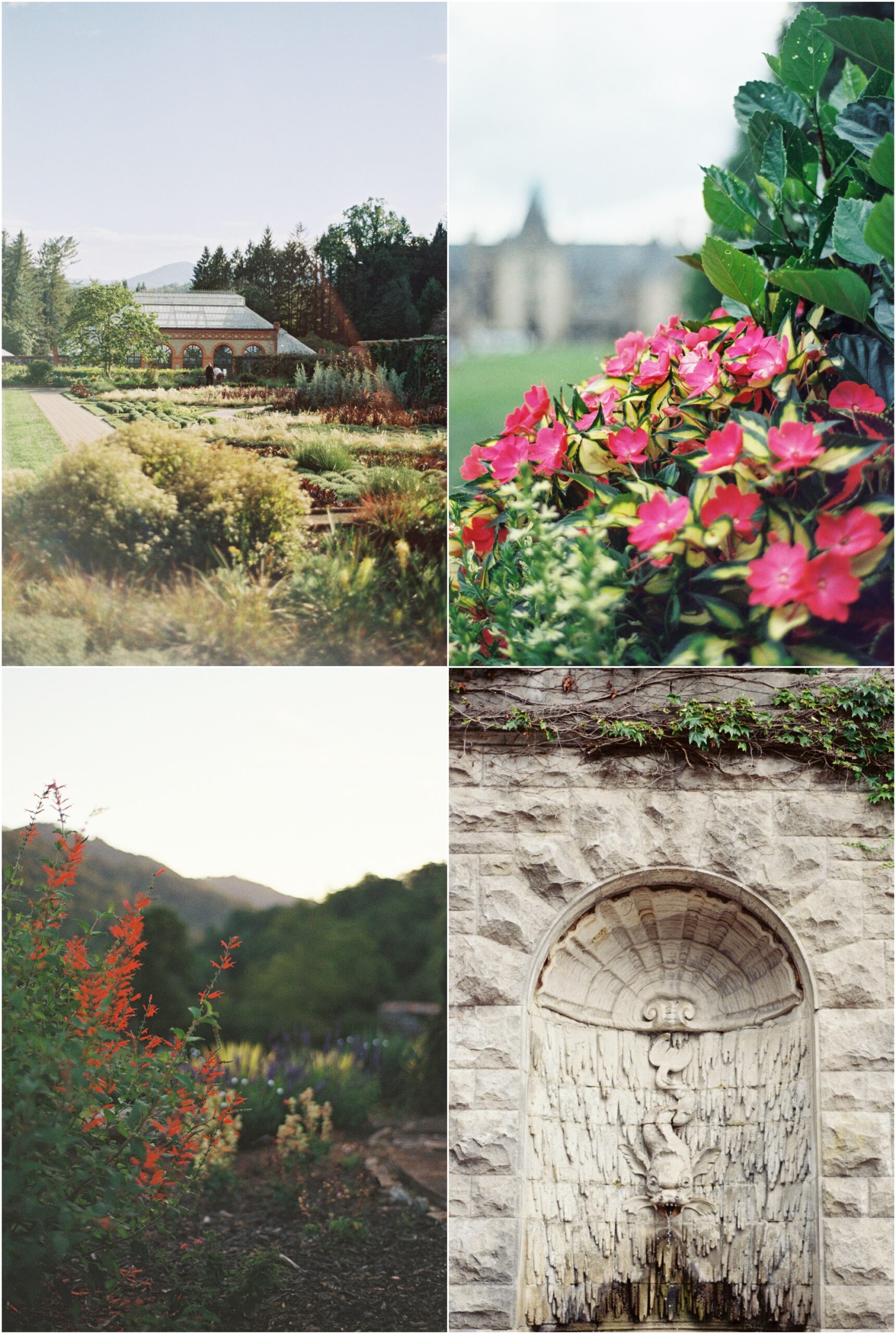 Landscape portraits of the Biltmore shot on film.